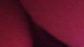 Fun for a day (Video 181)