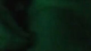 Fun for a day (Video 178)