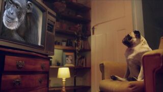 Candie Luciani Fucks Hard In The Hotel