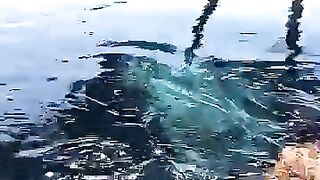 Ana's Snapchat (Video 247)