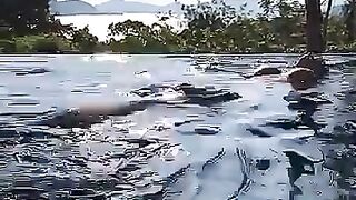 Ana's Snapchat (Video 240)