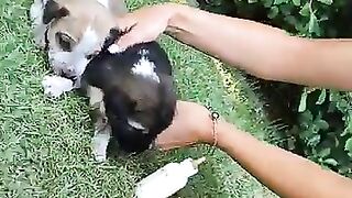 Ana's Snapchat (Video 230)