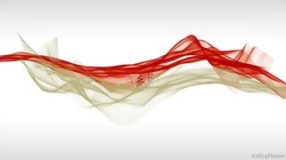 Indica Flower POV Fishnet Sex Tape