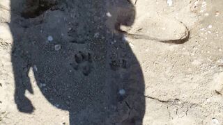 Kebabs0verabs Onlyfans (Video 18)