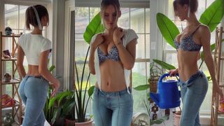 Rachel Cook Winter Garden Striptease