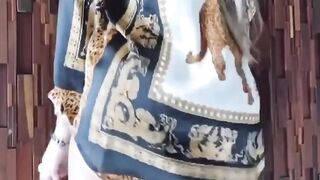 Mariana Morais Onlyfans (Video 36)