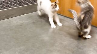 Yungestnugget Onlyfans (Video 10)