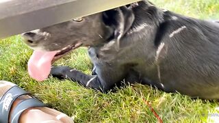 Yungestnugget Onlyfans (Video 82)