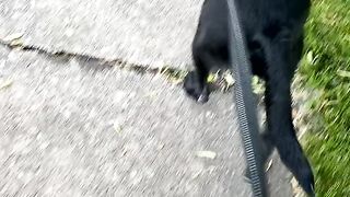 Yungestnugget Onlyfans (Video 81)