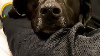 Yungestnugget Onlyfans (Video 48)