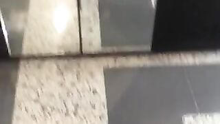 puravidacost (Video 150)