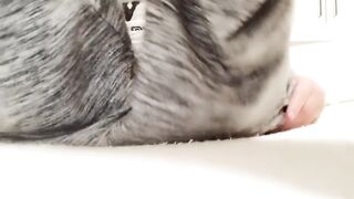 Hitomi tanaka (Video 11)