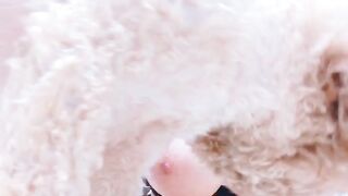 Hitomi tanaka (Video 2)