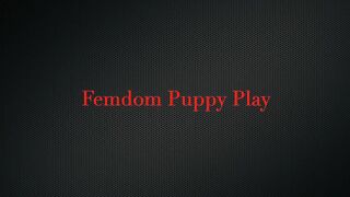 Stella Elle s Freeloading Step-Brother Becomes Her Puppy Part 2