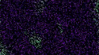 KIWI_SUNSET ONLYFANS LEAKED (Video 62)