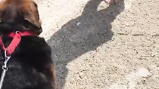 EVA LOVIA ~ fallinginlovia (Video 55)