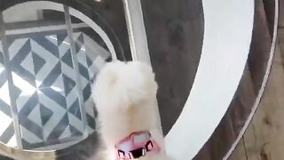 LA IG Model Jessica Bartlett Premium Mega  (Video 22)