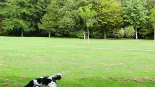 Mariah_Leonne - risky outdoor blowjob & huge facial  3