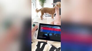 Utahjaz - tiktok beauty teen vlog pov onlyfans Leaked Sextape