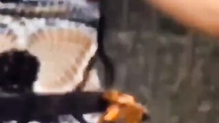 Jailyne Ojeda Video Pack (Video 10)