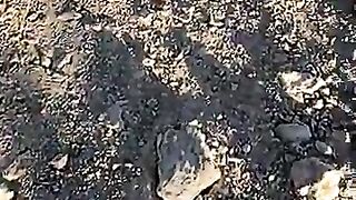 Photos Videos (Video 45)