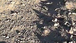 Photos Videos (Video 45)